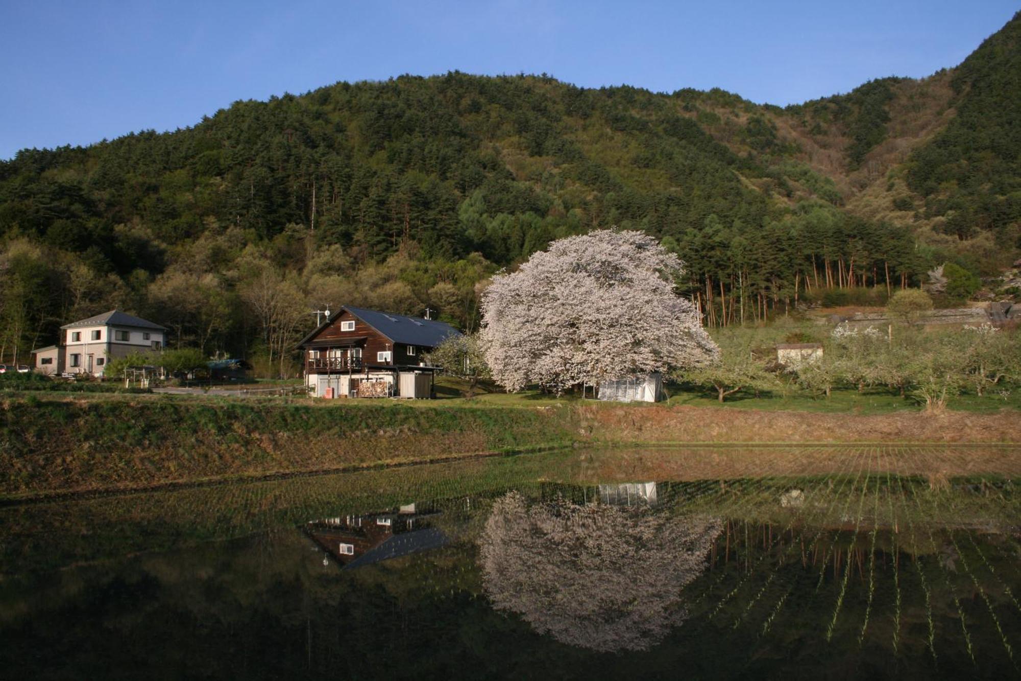 Готель Azumino Backpackers 山の風 Matsukawa Екстер'єр фото